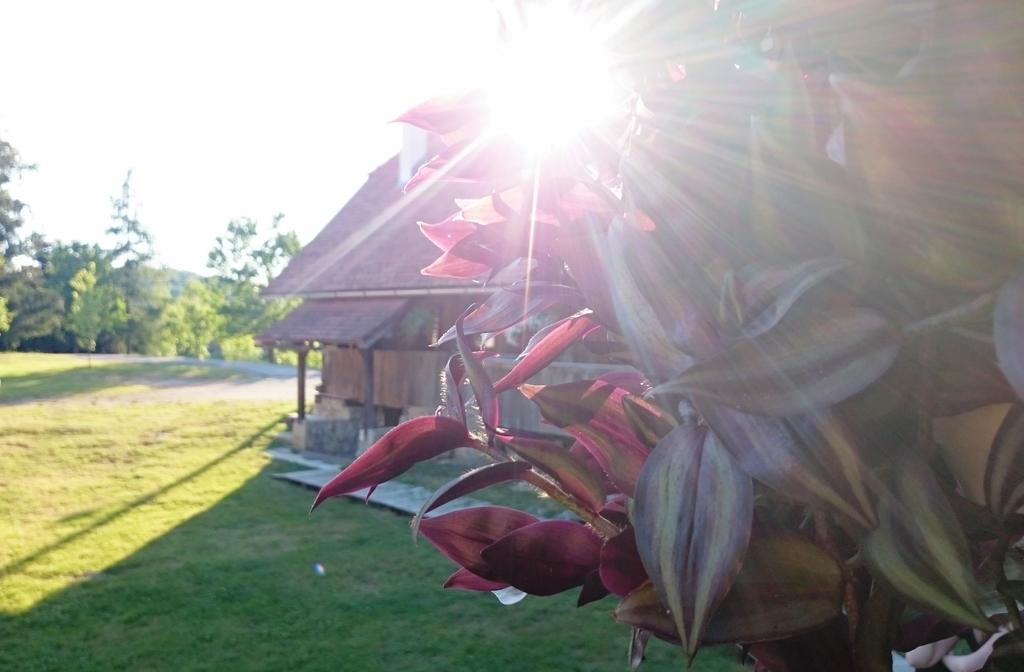 Rustic Home Mia 더가리사 객실 사진